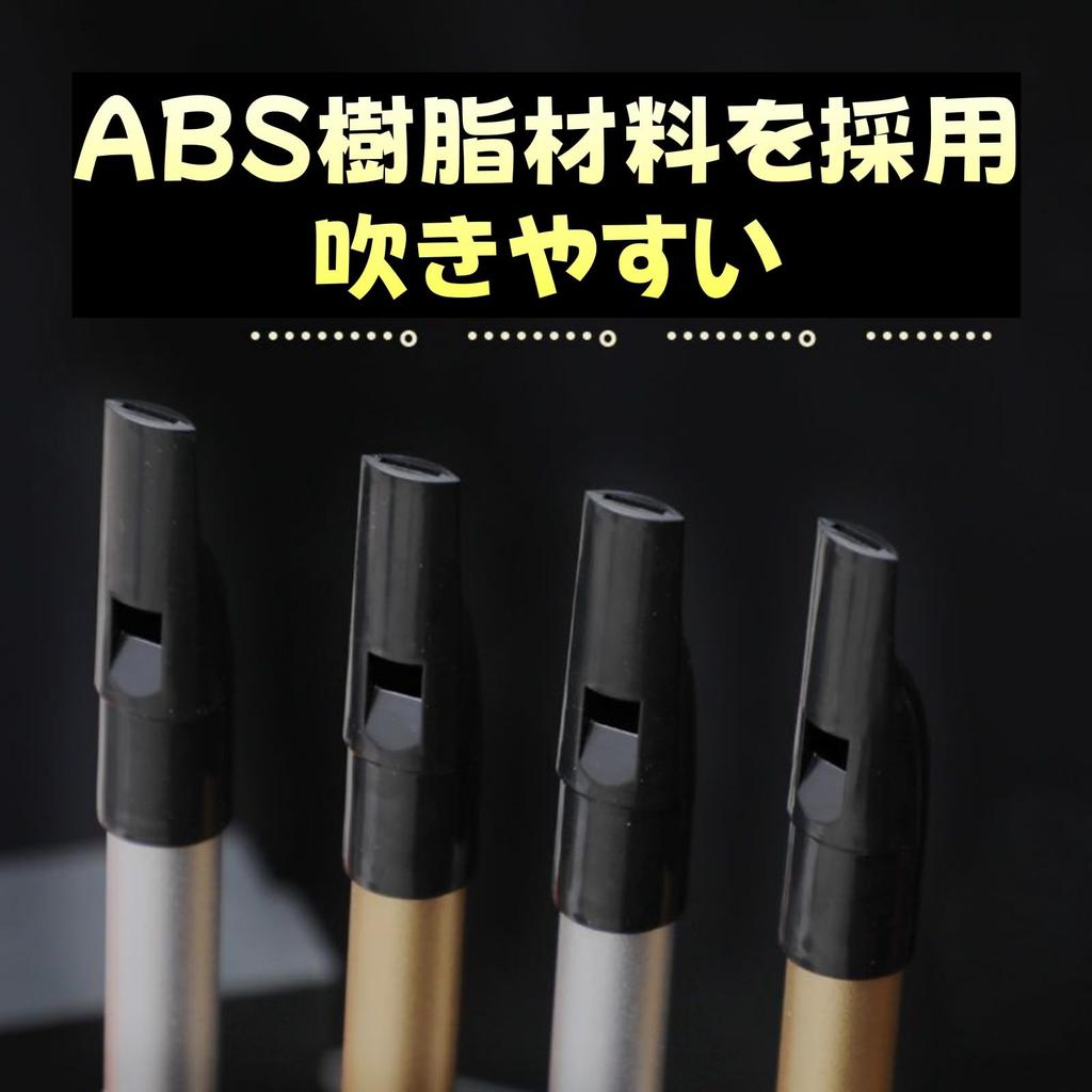 Tin Whistle Jinchuan, Aluminium, Flûte Irlandaise, Clé de D, Set Débutant, avec Sac de Rangement et Étui, Léger, Facile à Jouer, Instrument de Pratique, Noir
