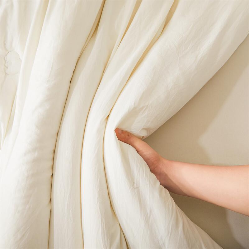 Xinjiang Cotton Thickened Warm Washable Quilt