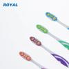 The Best Customized Adult Toothbrush with Medium Bristle Home Use OEM/ODM Available Packaging in China
