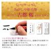 Akashiya Brush Pen 'Shin-Mohitsu Koto', Cherry Blossom, SAW-S-500P
