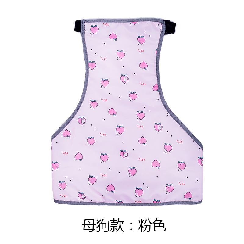 New Ins Dog Apron Anti-cold Clothes Warm Method Bucket Raincoat Pet Waterproof Bib Cotong Printing Designer Dog Clothes
