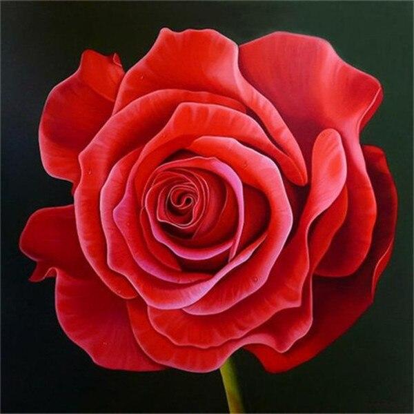 50X50CM 5D DIY Diamond Painting Flower Rose Mosaic Diamond Full Square Round Rhinestone Picture Home Decoration