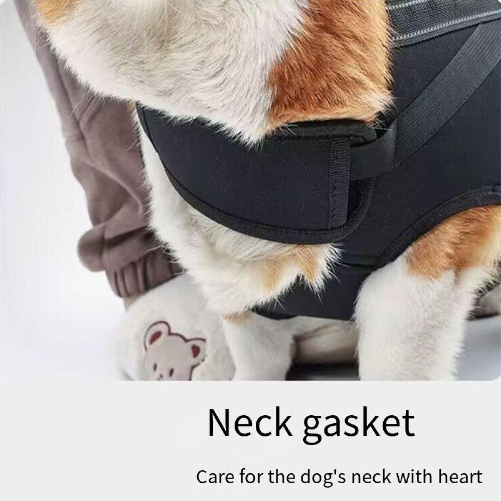 Sac à Dos De Transport Pour Chien - Harnais De Soutien Pour Chiens Âgés Ou Blessés - Nylon Réglable - 5