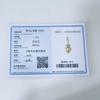 925 Silver Lion Beads & Chameleon Dangle Charm Fit Snake Bracelet Boutique Necklace Golden Pendant Gift