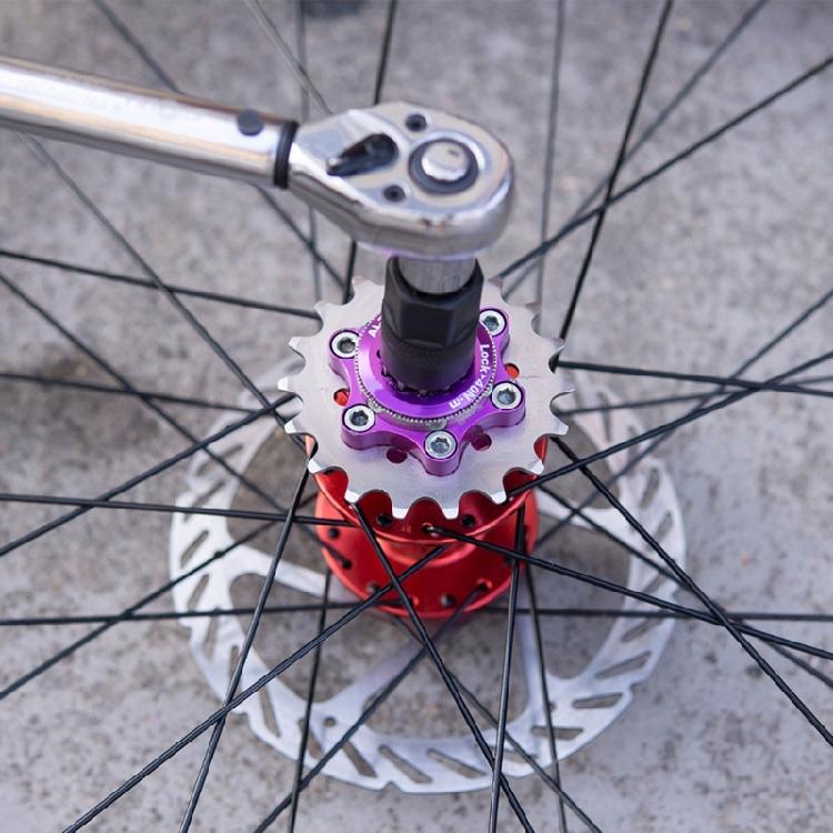 Pignon Monovitesse Acier Haute Résistance Roue Libre Roue d'Inertie Pignon Pièce pour Vélo à pignon fixe Facile à installer