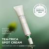 SKIN1004 Madagascar Centella Tea-Trica Spot Cream 20ml Acne Care & Soothing Treatment