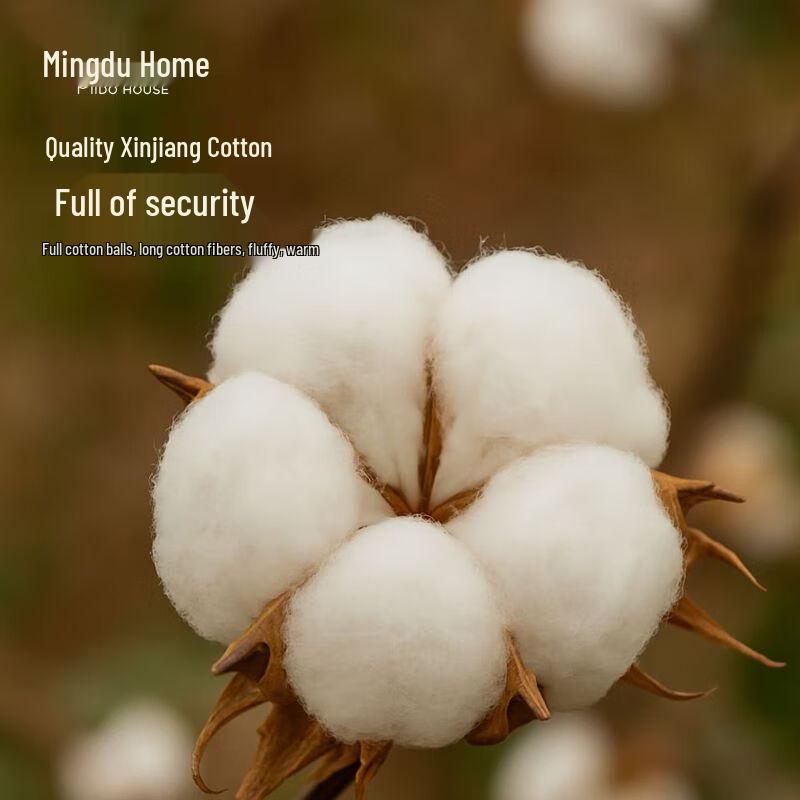 MIDO HOUSE 100% Cotton Xinjiang Cotton Quilt