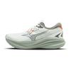 Astro Plus II Comfortable Professional Shock Absorption Support Breathable Non-Slip Low-Top Running Shoes Unisex Running Shoes D1GH251105