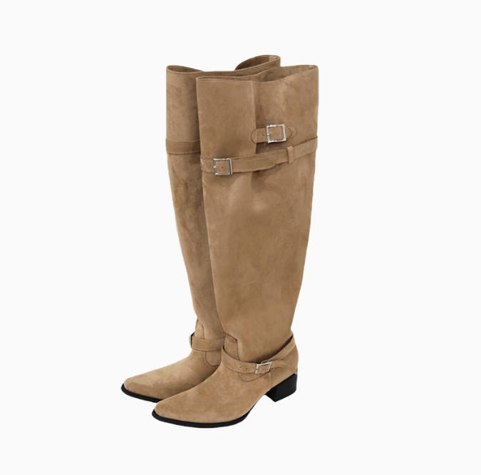 Super Fire Boots Pants Pants Boots Women's 2025 Spring New Pointed Thick Heels But Knee Pile Boots Big Tube Wai Knight Boots