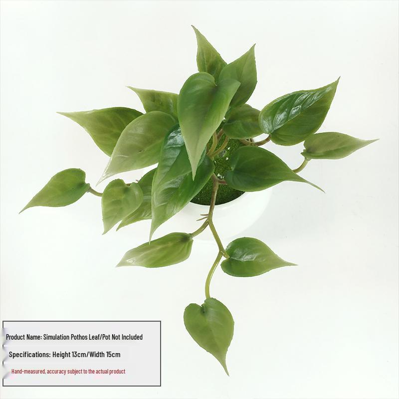 Huashe Red Air Succulent: Creative Faux Green Plant for Home Décor