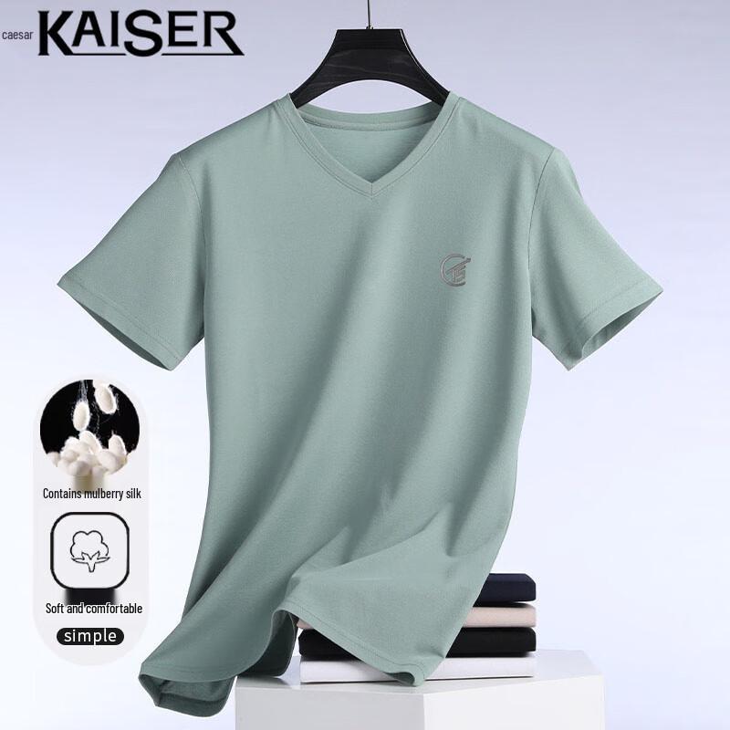 Kaisar Men s V-Neck Silk Blend Short Sleeve T-Shirt 48