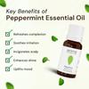 Эфирное масло Перечной мяты (10 мл), Peppermint Essential Oil,  Aroma Treasures