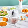 LISM Electric Multi-function Garlic Mincer and Meat Grinder