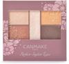 Canmake Perfect Stylist Eyes V25 Mimosa Orange 1 Piece  X 1  25 Mimosa Orange
