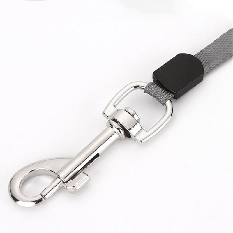 3/5M Nylon Dog Leash Automatic Retractable Durable Cat Lead Extending Puppy Walking Running Traction Roulette for Small Dogs
