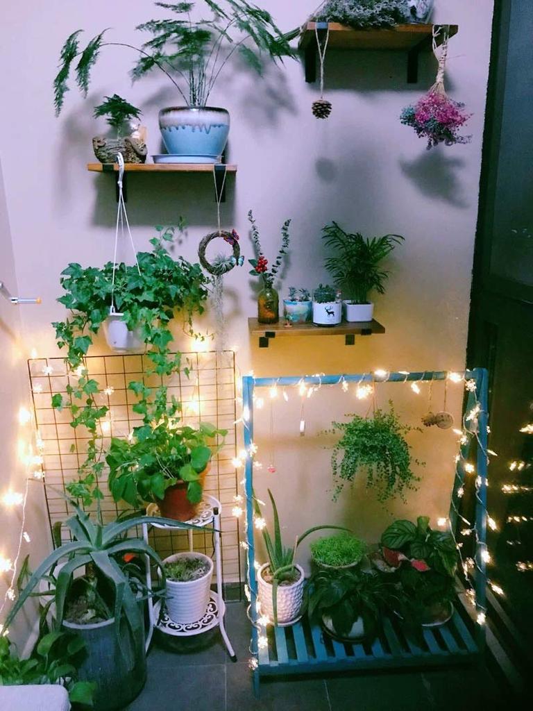 LIHAO Christmas Tree Light Ornaments, 10m, 80 Bulbs, Illumination, LED Tree Lights, Christmas Lights, Snowflakes, Snowflakes, Christmas Ornaments,