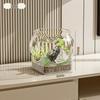 Eco-Friendly Square Transparent Fish Tank for Home Decor