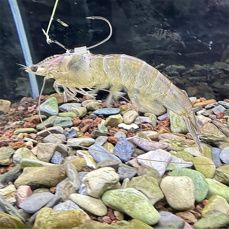 10/20 Stück Leuchtende Live-Garnelenhaken Hochbelastbarer Metall Widerhaken Angelhaken Süßwasser Salzwasser Wels Barsch Angelhaken