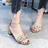 Crystal Sandals with Low Heels Women Sandals 2024 Summer Shoes Women Open Toe Crystal Chunky Sandals Heels Women Gold Sliver