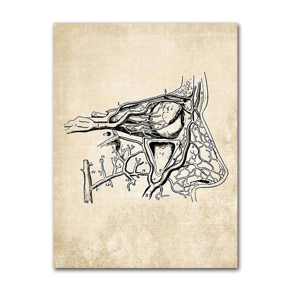 Wandbilder für Krankenhaus, Arzt, Büro, Dekor, Wandkunst, Leinwand, Malerei, Anatomie, Skelett, nordische Poster und Drucke, Vintage