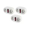 Lot of 3 Biplite Dominoes 2x16a + Switch - Chacon