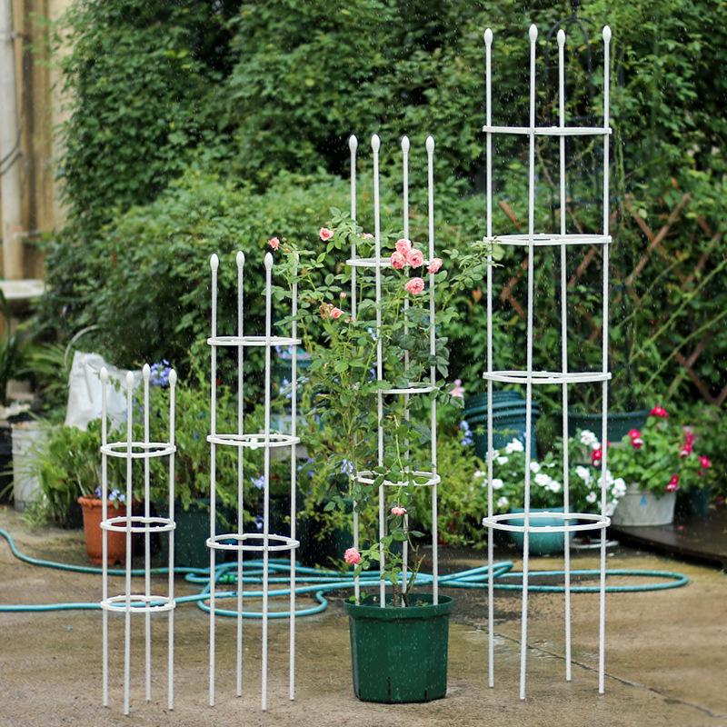 Climbing Clematis & Rose Flower Rack for Balcony Pot - European Design Plant Support