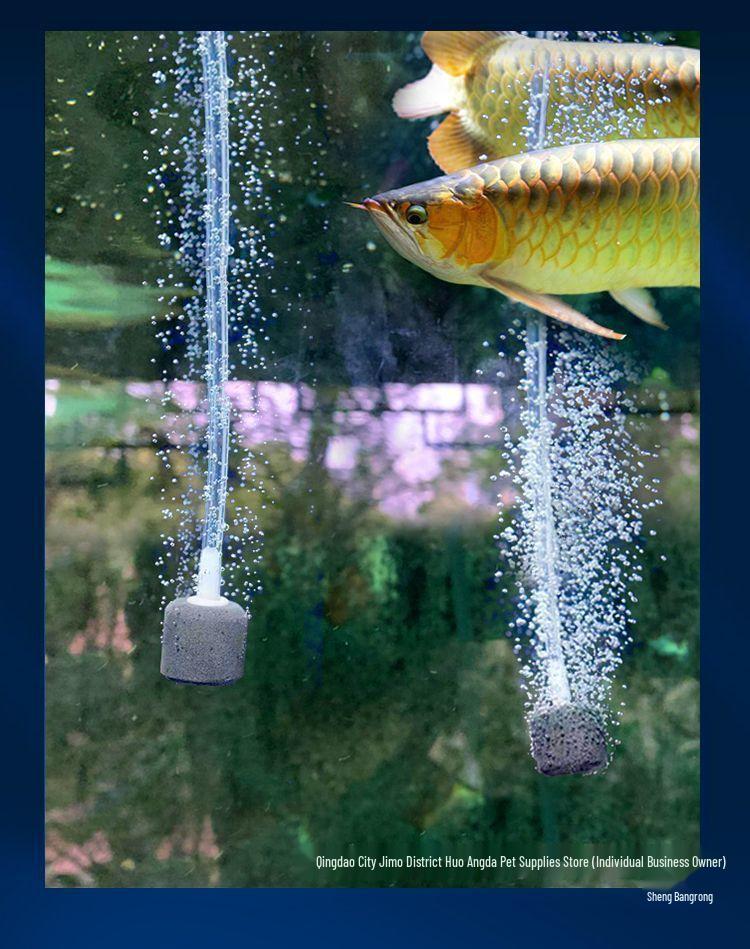 USB Portable Aquarium Fish Tank Aerator Oxygen Pump for Home and Fishing - Free Shipping