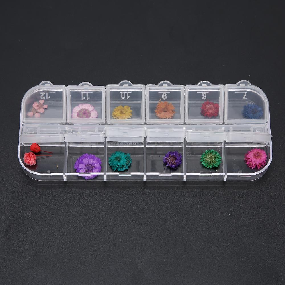 12 Colors  Box Dried Flower Nail Decoration DIY Nail Art Decoration AccessoriesD Style