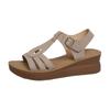 Fashion 2025 Hot Sale Ladies Shoes Open Toe Women's Sandals Summer Rome Hollow Solid Outdoor Casual Comfortable Beach Wedge Sandals