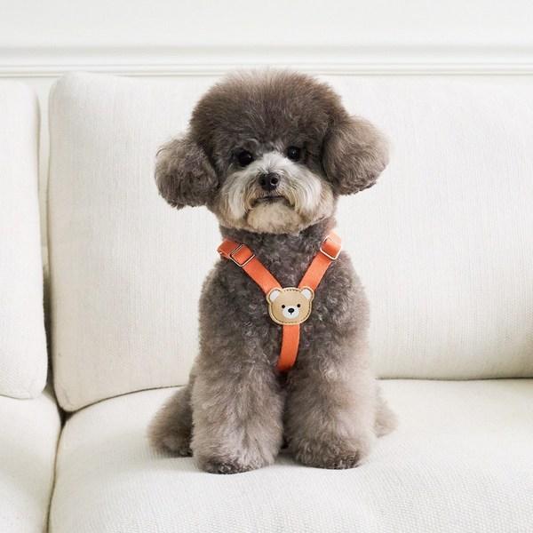 Bai Bong Welpengeschirr Light Bear, Orange