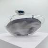 Women's Fashion Acrylic Clear Handbag: Trendy Evening Clutch