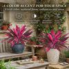 Artificial Ti Plant, Artificial Tropical Plants Outdoor, Large Realistic Artificial Fern Dragon'S Blood Tree Plants