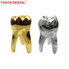 Decorațiuni dinți pentru dentist Decorare birou clinică dentară Figurine model dinți Ornament Accesorii decor dentar Cadou