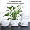 Elegant White Ceramic Flower Pot with Tray - Ideal for Ivy, Spider Plants, and Succulents