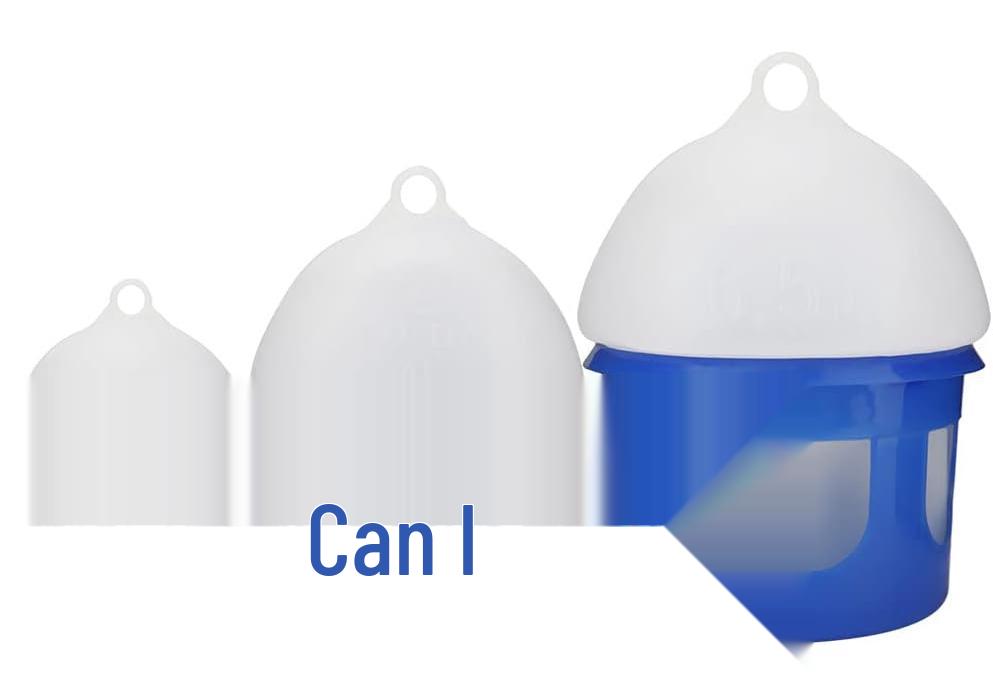 Racing Pigeon Supplies: Waterer & Feeder Bird Drinking Fountain