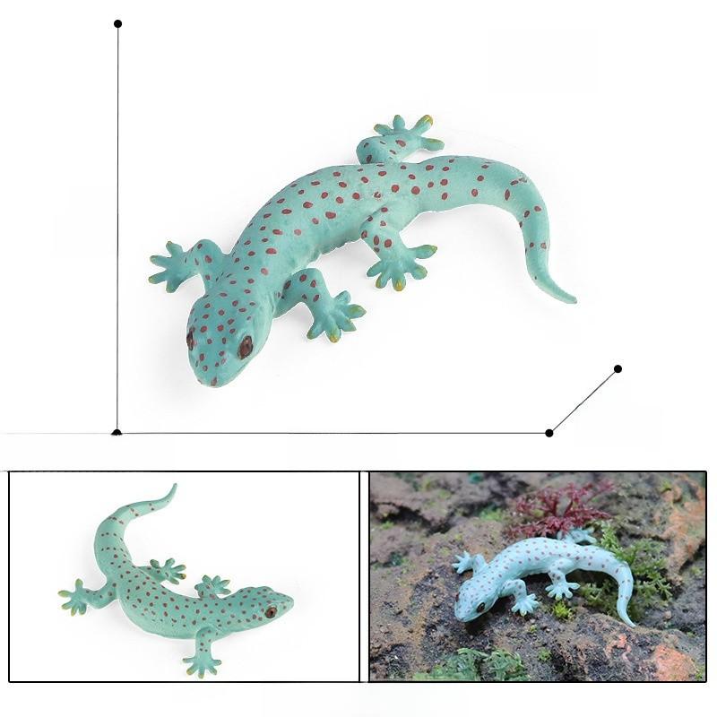 

Насекомое Животное Образовательный Набор Моделей Пластиковые Фигурки Детское Обучение Школьное Домашнее Style K