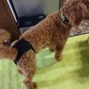 With 3 Cotton Pads Female Dog Panties Easy To Wear Breathable Dog Physiological Nappies Adjustable Washable