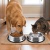 Anti-tip Pet Bowl Rustproof Pet Drinking Bowl Durable Use Cat Food Bowl  Pet Rest Area