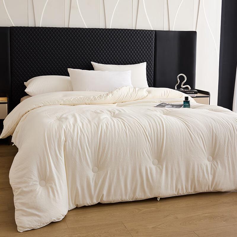 Southbedding Ultra-Soft All-Season Quilt