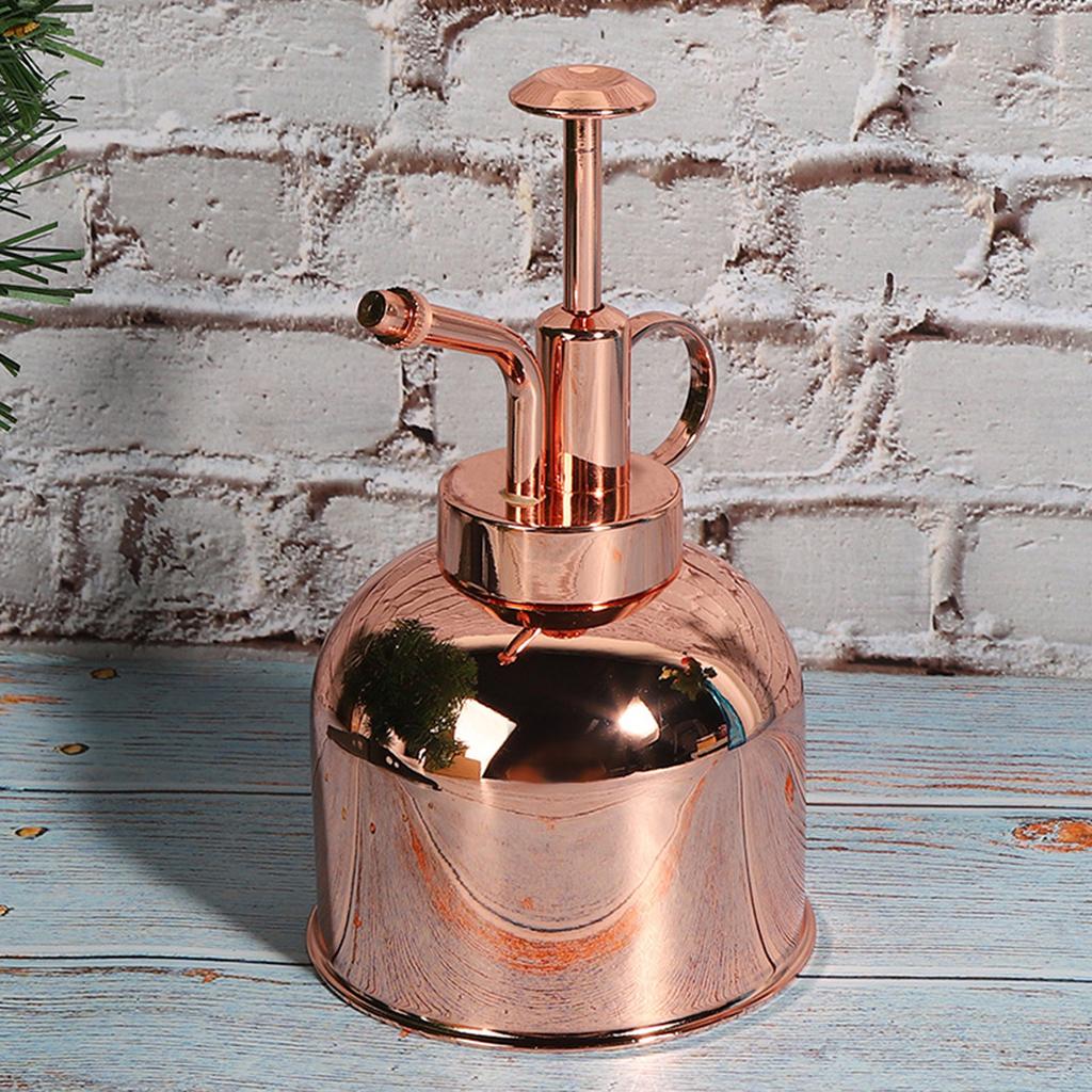 Schöne Handdruck-Gießkanne Topf Sprühflasche Zimmerpflanzen-Sprühnebel Zimmerpflanzen-Zubehör