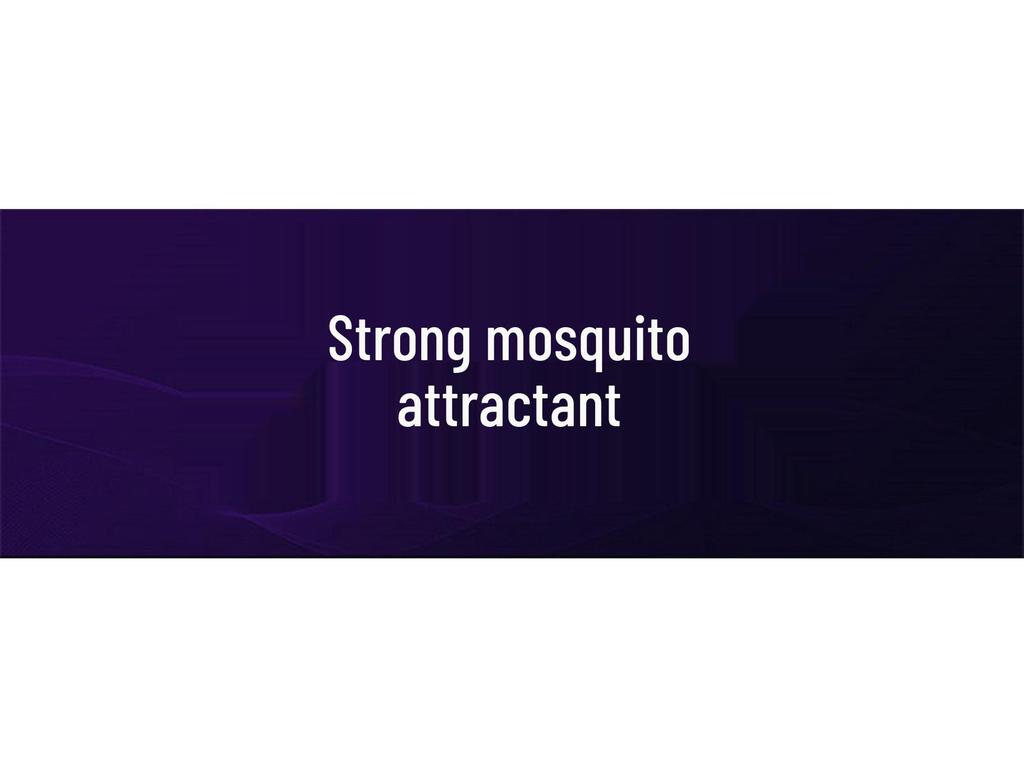 Professional Silent Mosquito Killer Lamp for Outdoor, Camping, Home, Office, and Dorm Use - Safe for Infants, Toddlers, and Pregnant Women