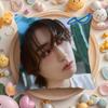 Pillowcases cushion covers living room sofas home decor gifts Korean singer H-Han Ji COOL Sung