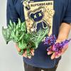 3D Printed Charizard Statue, Colorful Figurines Statue, Flexible 3D Printed Animal, Gifts, 27.5Cm/10.83In, 17Cm/6.69In