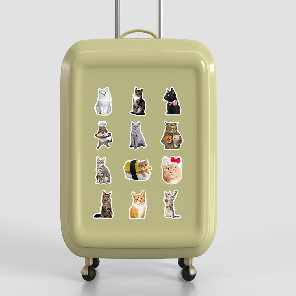 50 Cartoon Cute Kitten Emoticon Pack Graffiti Stickers Mobile Phone Case Hand Account Computer Suitcase Stickers