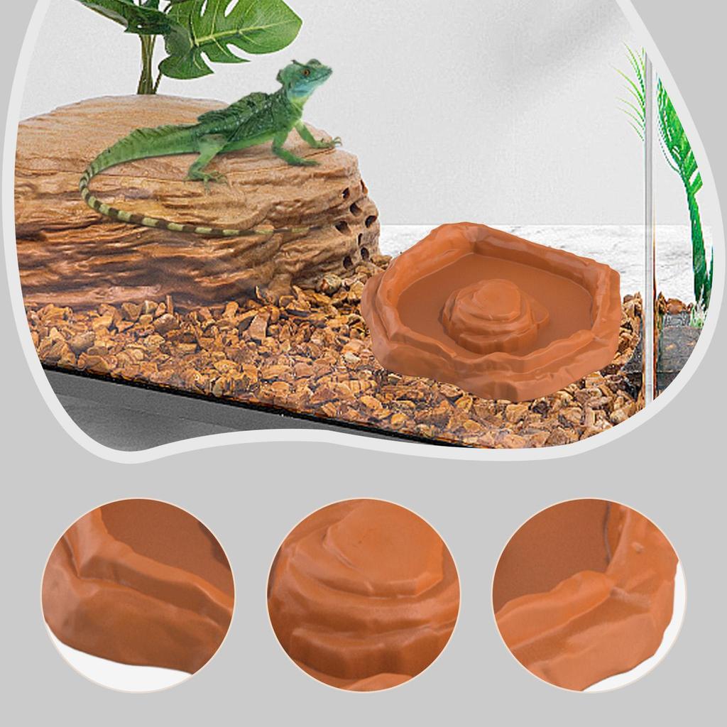 Reptilien Futter Napf Tank oder Aquarium Zubehör Reptilien Wassernapf Futterschale für Bartagame Gecko Eidechse Schildkröte Einsiedlerkrebs