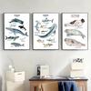 Cartoon Marine Animals Whales and Sharks Guide Poster and Prints Canvas Painting Wall Art Pictures Home Room Decoration