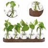 3/5pcs Bottles Plant Terrarium Propagation Station Transparent Desktop Decorating Flowerpot  Patio