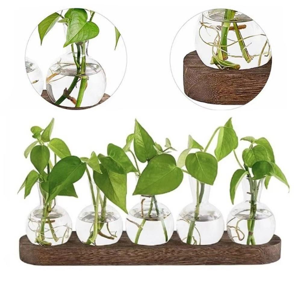 3/5pcs Bottles Plant Terrarium Propagation Station Transparent Desktop Decorating Flowerpot  Patio
