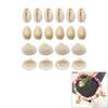 1 Set Beach Conch Shells with Hole Craft Shells Natural Shell Beads Crafting Supplies for Bracelet Jewellery Making