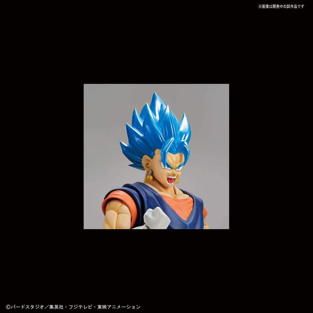 Standardní plastový model Dragon Ball Super Saiyan God Super Saiyan Vegetto, barevně kódovaný